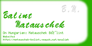 balint matauschek business card